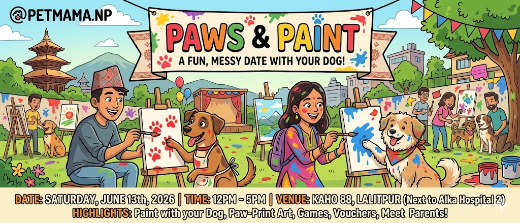 Paws & Paint